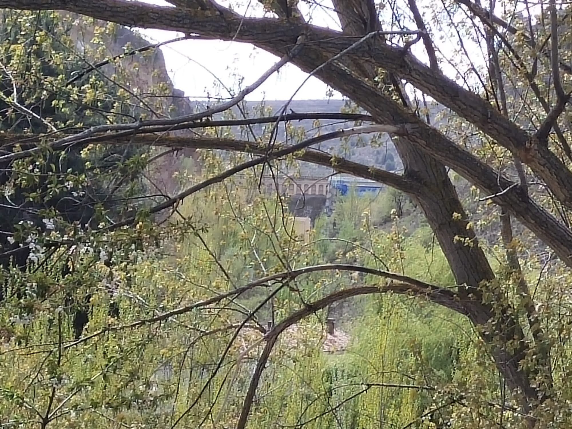 Ramas de árboles enmarcando la vista del paisaje y puente en Maderuelo.